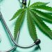 Medical Cannabis Commission releases schedule of fees, penalties and fines