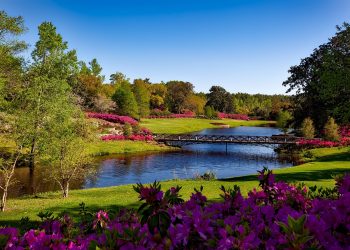 Exploring Alabama’s Hidden Gems: A Guide to Off-the-Beaten-Path Destinations