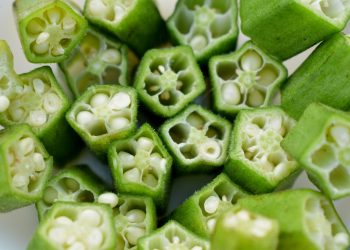 Discovering Alabama Cuisine: A Delicious Journey